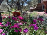 178 Quintana Road - Photo 27