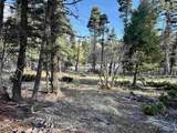 Lot 105 Calle De Los Indios - Photo 3