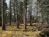 Lot 1335 Skyview Way - Photo 1