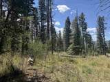 Lot 1335 Skyview Way - Photo 10