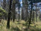Lot 1335 Skyview Way - Photo 12