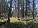 Lot 1335 Skyview Way - Photo 13
