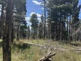 Lot 1335 Skyview Way - Photo 14