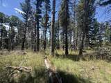 Lot 1335 Skyview Way - Photo 15