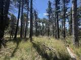Lot 1335 Skyview Way - Photo 16