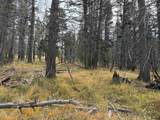 Lot 1335 Skyview Way - Photo 2