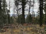 Lot 1335 Skyview Way - Photo 4