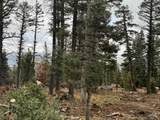 Lot 1335 Skyview Way - Photo 5