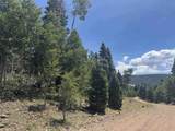 Lot 1335 Skyview Way - Photo 6