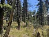 Lot 1335 Skyview Way - Photo 7