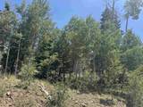 Lot 1335 Skyview Way - Photo 9