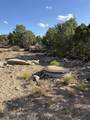 Pinon Court Lot 8 - Photo 5