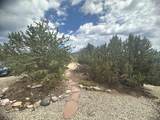 25 Tatanka Trail - Photo 3