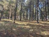 Lot 60 Valley Rd - Photo 11