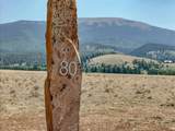 80 Soaring Eagle Drive - Photo 8