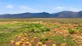 80 Acres Sunshine Valley Road - Photo 1
