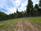 Lot 233 Summit Place - Photo 10