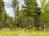 Lot 233 Summit Place - Photo 11