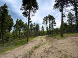 Lot 233 Summit Place - Photo 13