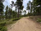Lot 233 Summit Place - Photo 14