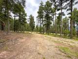 Lot 233 Summit Place - Photo 16