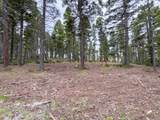 Lot 233 Summit Place - Photo 17