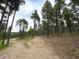Lot 233 Summit Place - Photo 5