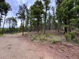Lot 233 Summit Place - Photo 6