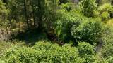 16 Plus Acres Off Highway 518 - Photo 13