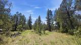 16 Plus Acres Off Highway 518 - Photo 16