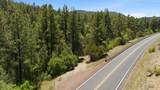 16 Plus Acres Off Highway 518 - Photo 3