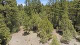16 Plus Acres Off Highway 518 - Photo 33