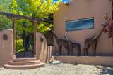 1002 Canon Heights - Photo 2