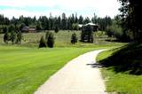 Lot 1032 Woodlands Dr - Photo 3