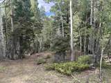 Lot 40 A Vermejo Terrace - Photo 4