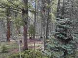 Lot 40 A Vermejo Terrace - Photo 8