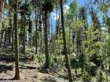 Lot 1568 Luna Drive - Photo 5