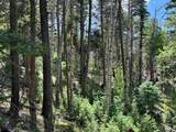 Lot 1568 Luna Drive - Photo 6