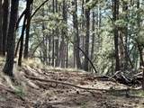 Lot 42 Vail Avenue - Photo 7