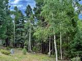 Lot 275 Vermejo Circle - Photo 2
