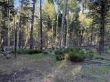 Lot 275 Vermejo Circle - Photo 4