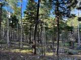 Lot 275 Vermejo Circle - Photo 6