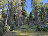 Lot 275 Vermejo Circle - Photo 7