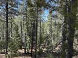 Lot 10 Snowmass Rd - Photo 4