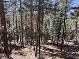 Lot 10 Snowmass Rd - Photo 7