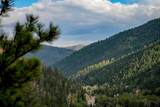 310 Wild Oak Tr - Photo 44