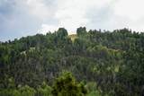 310 Wild Oak Tr - Photo 47