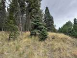 Lot 1319 Pleasant Valley Overlook - Photo 12