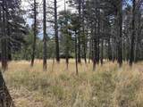 Lot 1319 Pleasant Valley Overlook - Photo 13