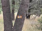 Lot 1319 Pleasant Valley Overlook - Photo 15